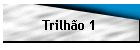 Trilh�o 1